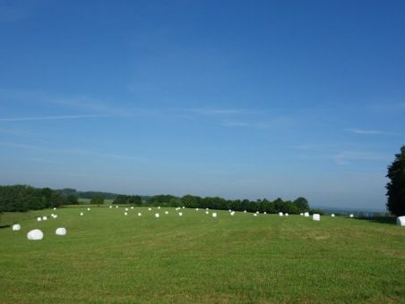 Was muss ich beachten um ein erfolgreiche Ballensilage zu bekommen?